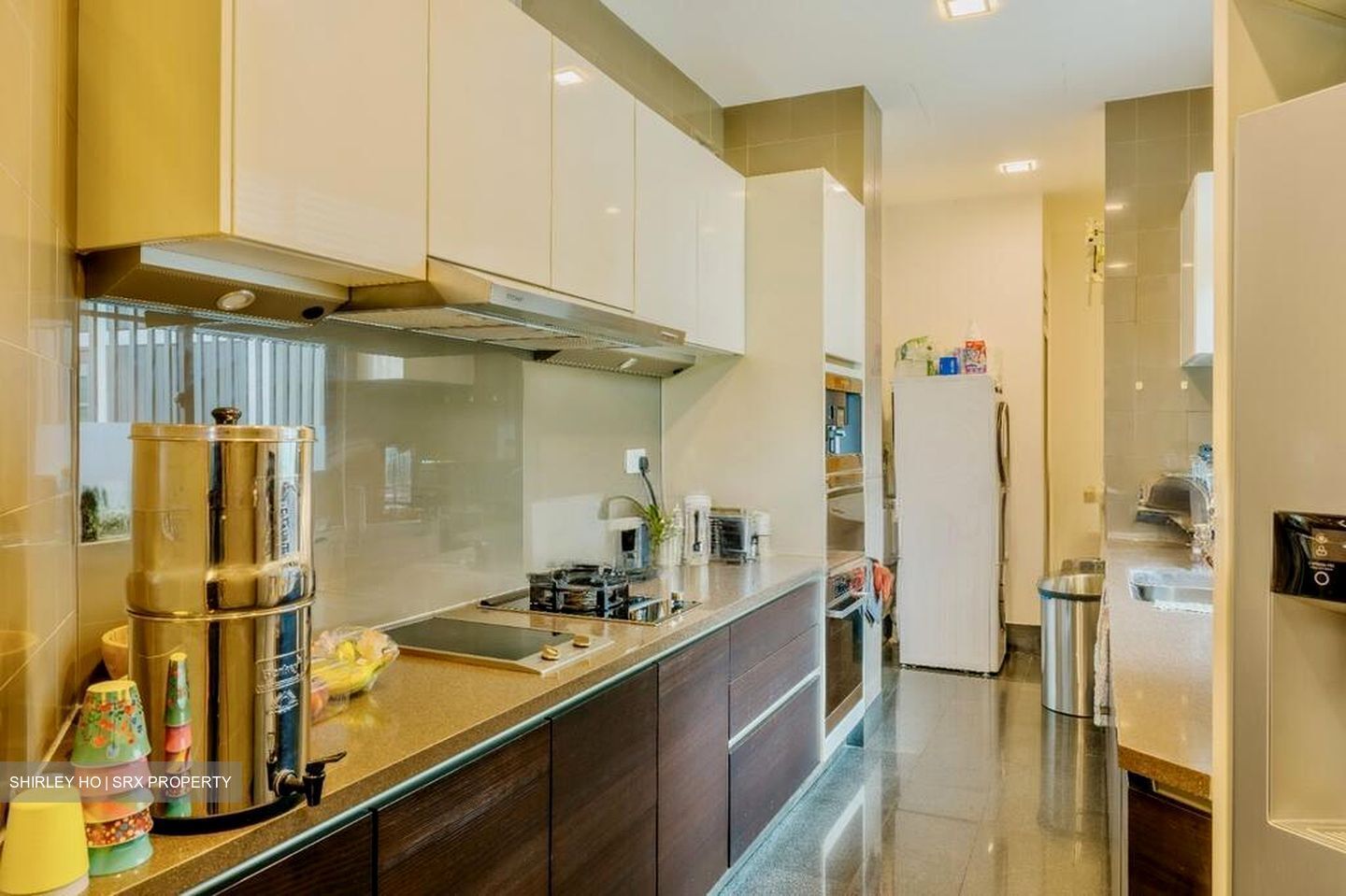Belle Vue Residences (D9), Condominium #506055691